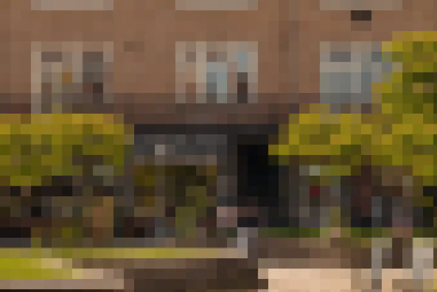 Biesboschstraat 70 H Amsterdam thumbnail 38