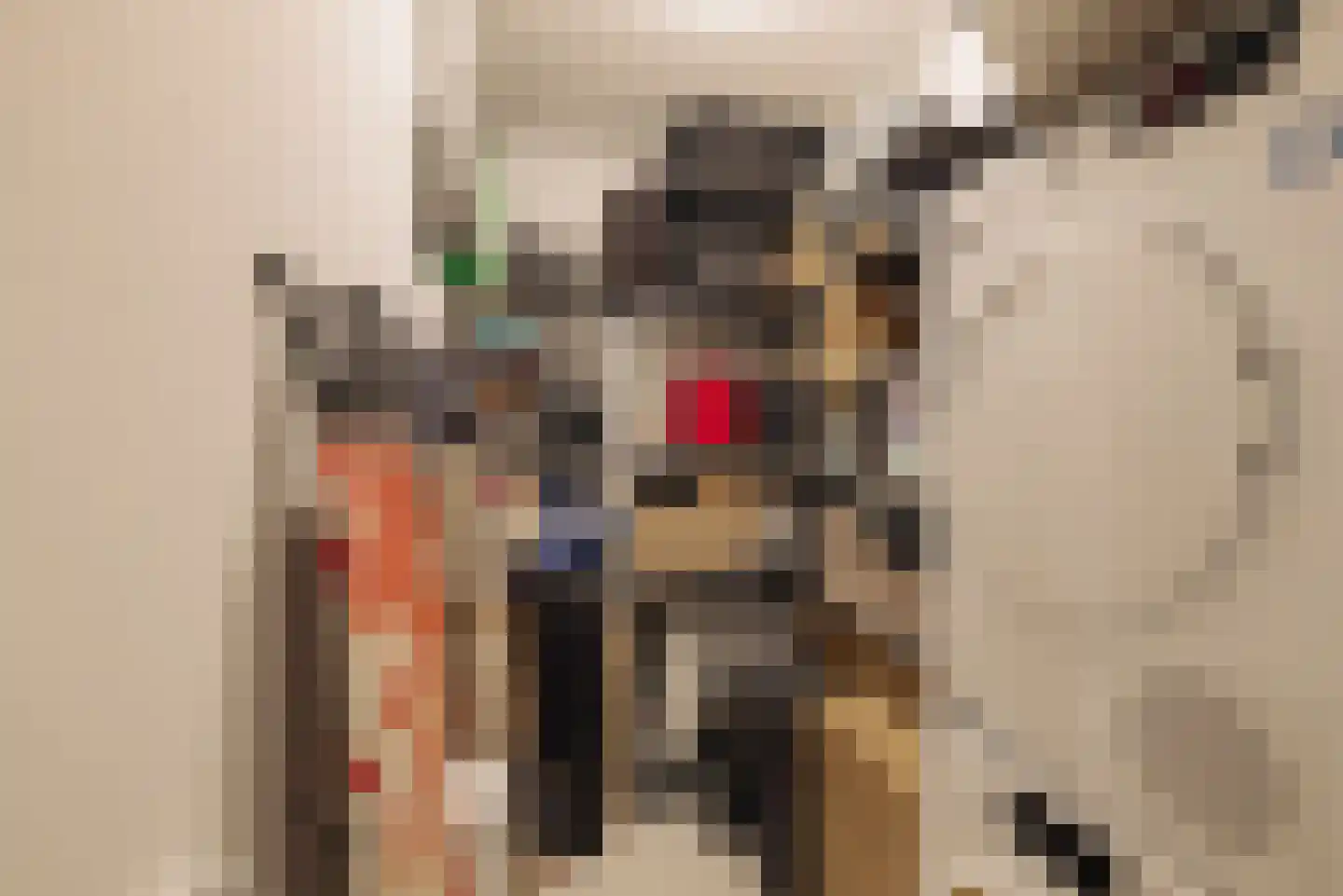 Biesboschstraat 70 H Amsterdam thumbnail 39