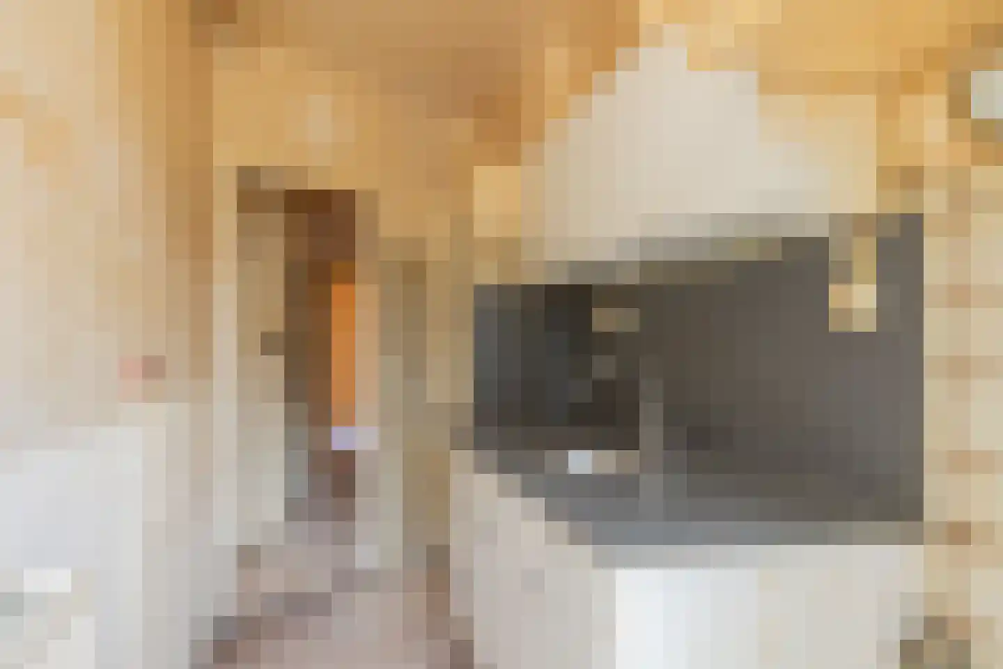 Biesboschstraat 81 2 Amsterdam thumbnail 16