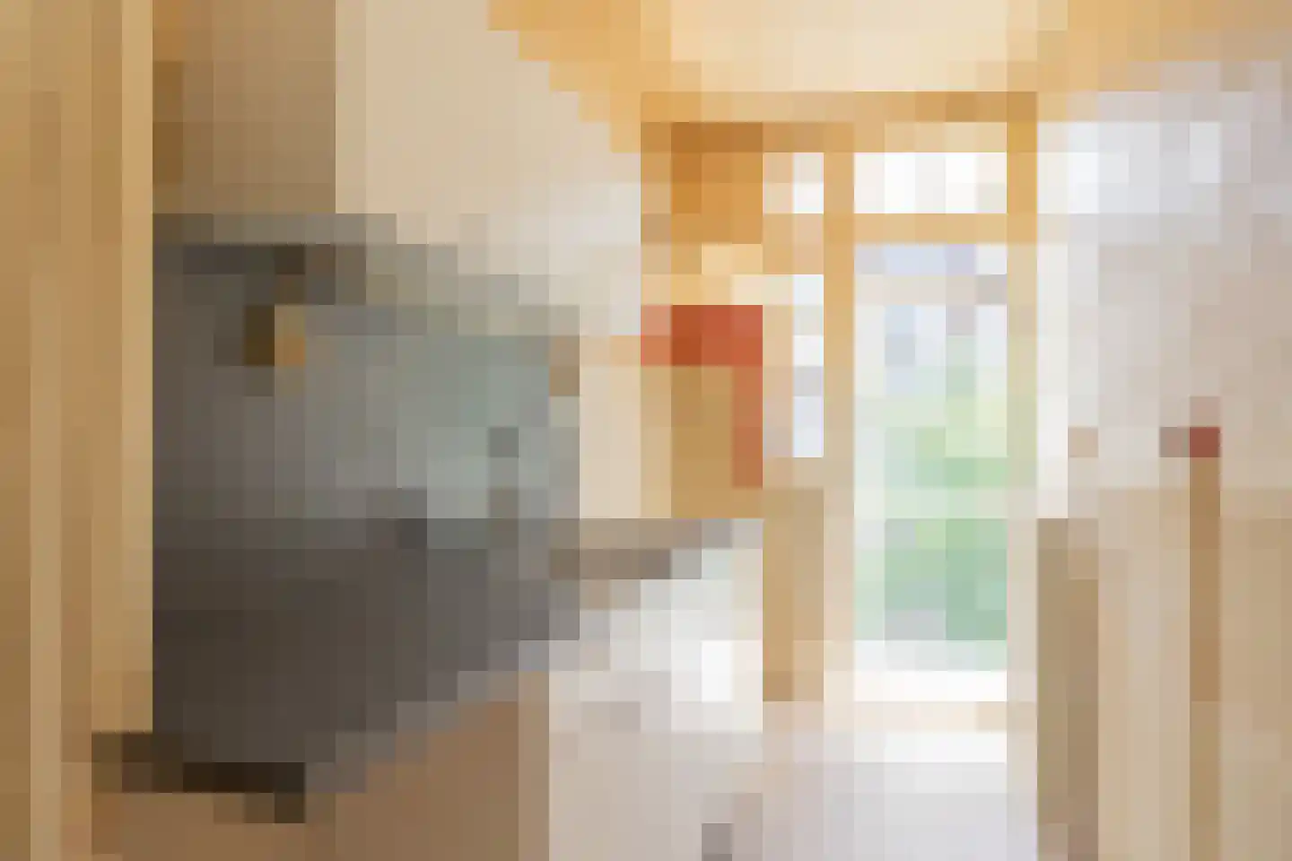 Biesboschstraat 81 2 Amsterdam thumbnail 6
