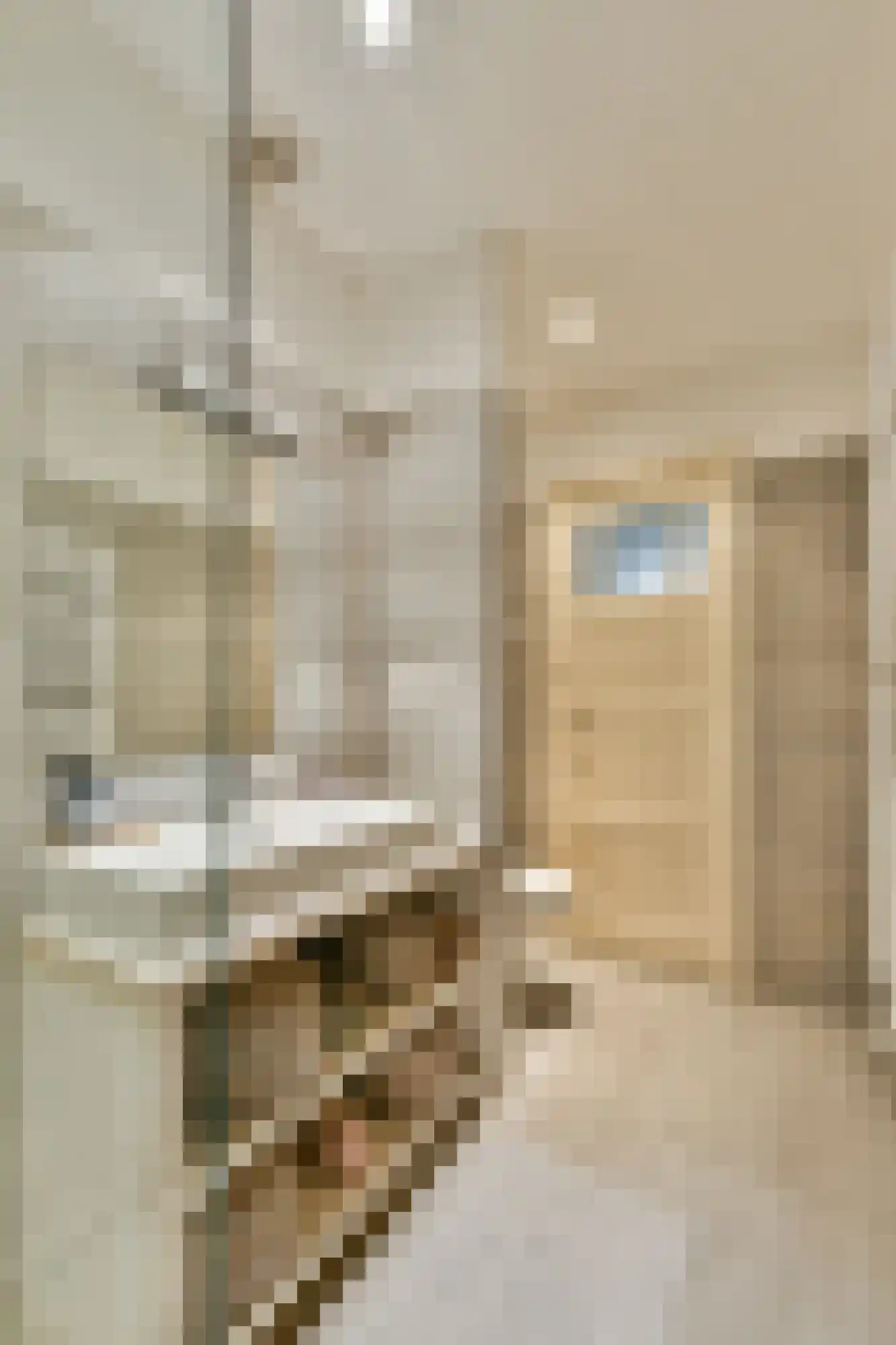 Biesboschstraat 83 2 Amsterdam thumbnail 19