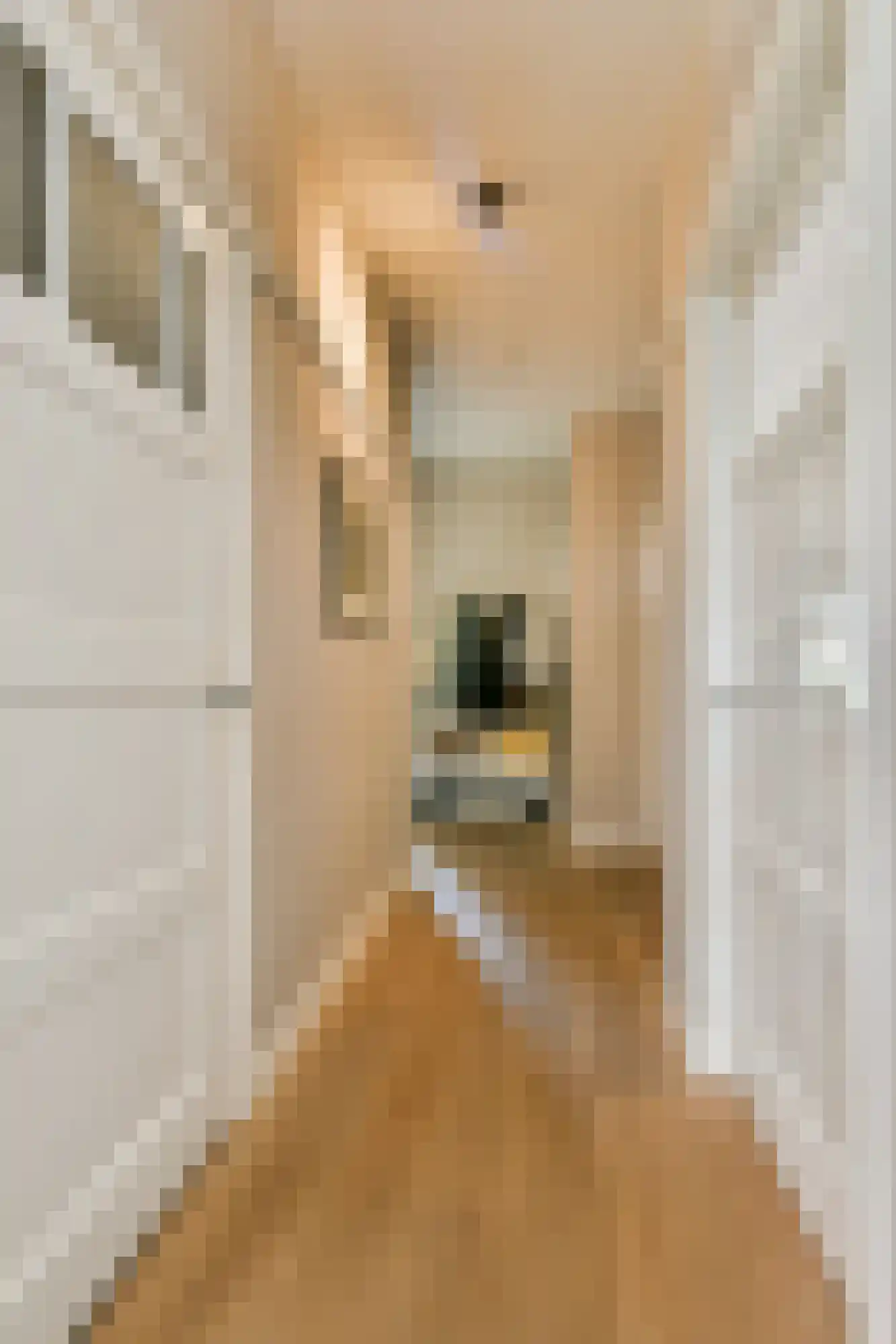 Biesboschstraat 83 2 Amsterdam thumbnail 20