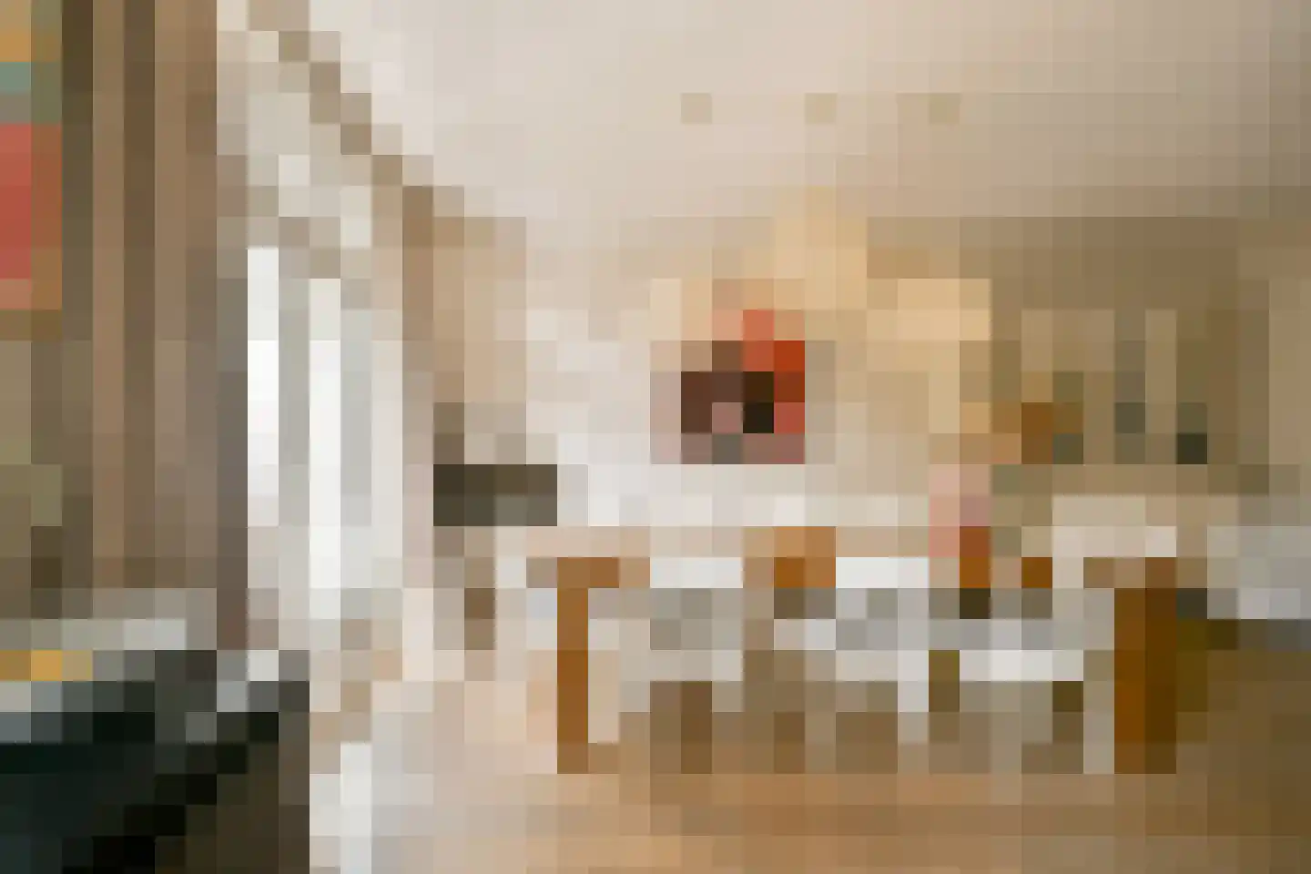 Biesboschstraat 83 2 Amsterdam thumbnail 9