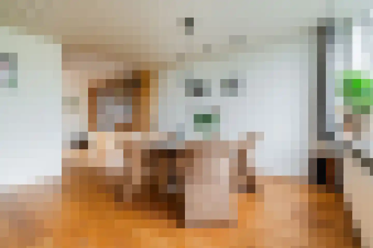 Biesboslaan 40 Eindhoven thumbnail 15