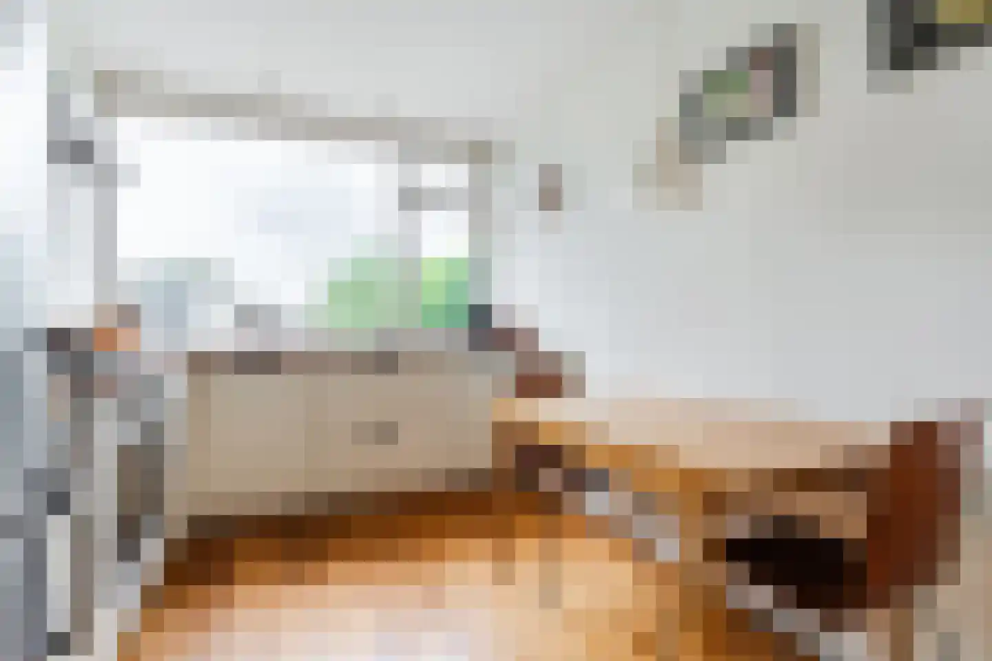 Biesboslaan 40 Eindhoven thumbnail 17