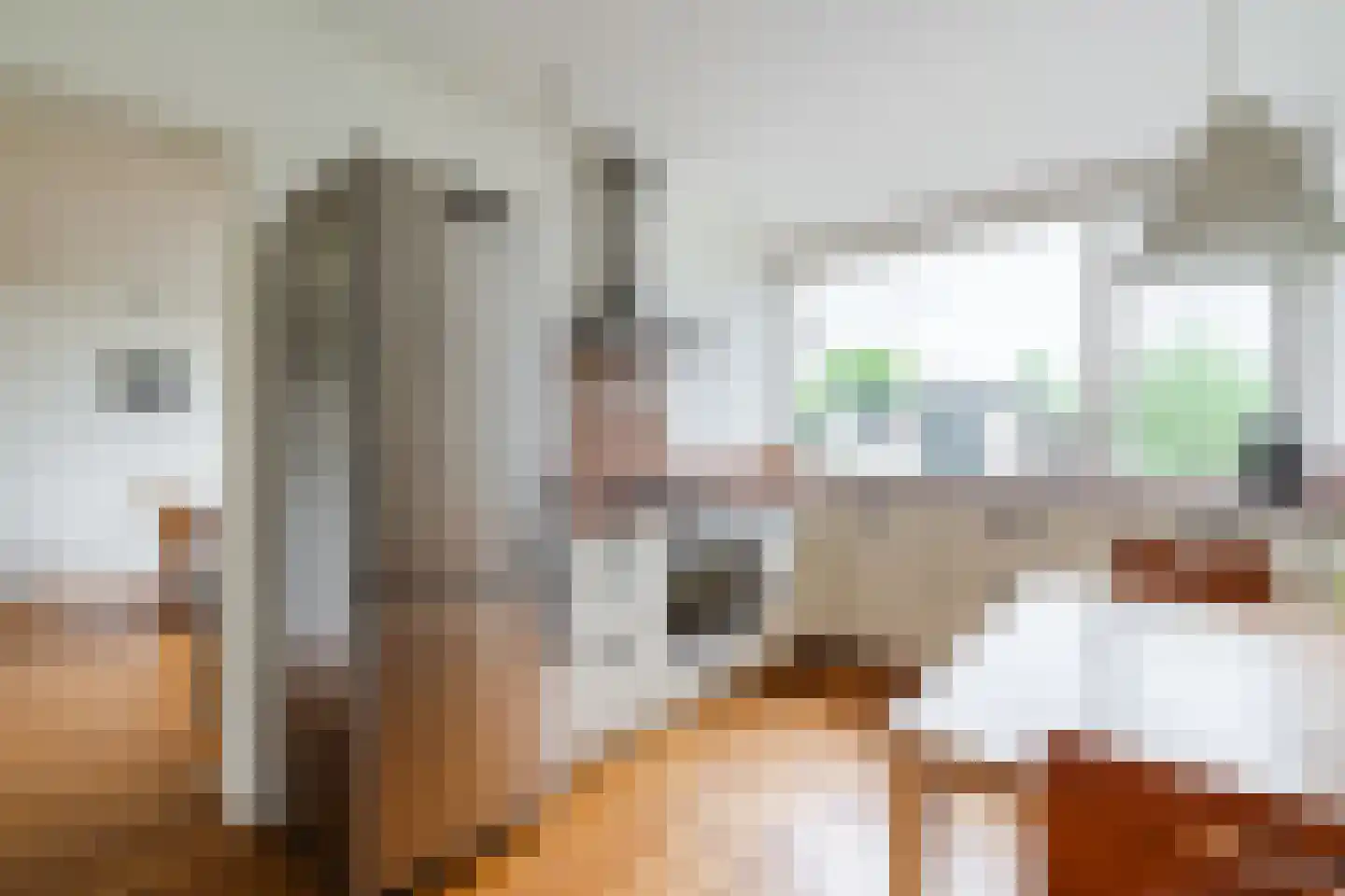 Biesboslaan 40 Eindhoven thumbnail 18