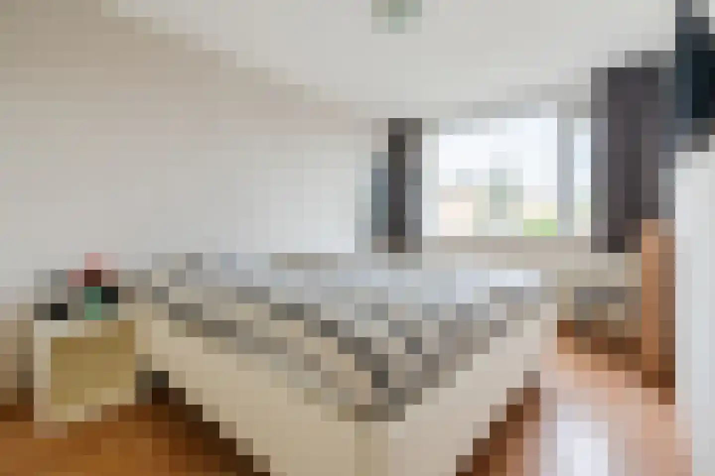 Biesboslaan 40 Eindhoven thumbnail 26