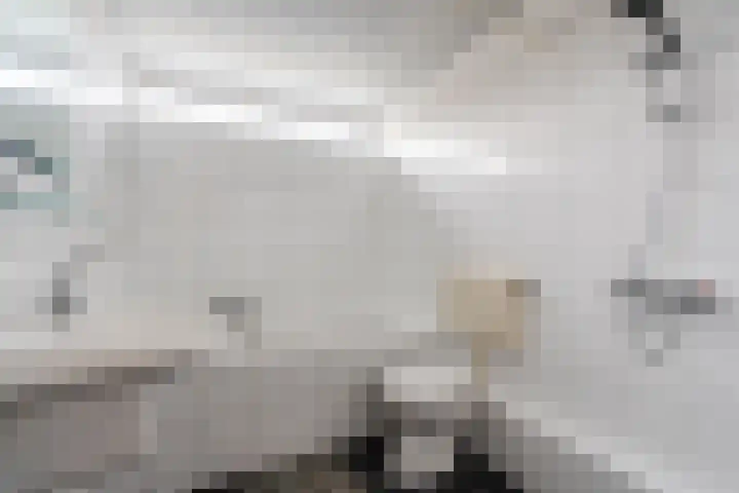Biesboslaan 40 Eindhoven thumbnail 28