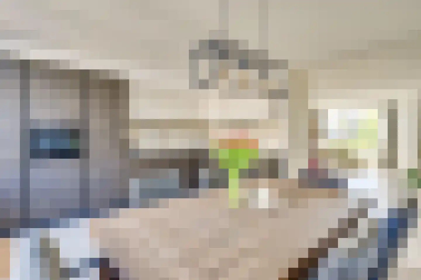 Biesboslaan 46 Eindhoven thumbnail 16