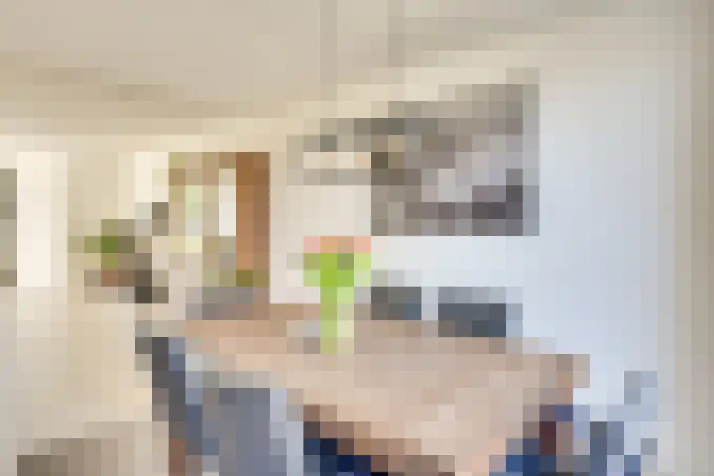 Biesboslaan 46 Eindhoven thumbnail 17
