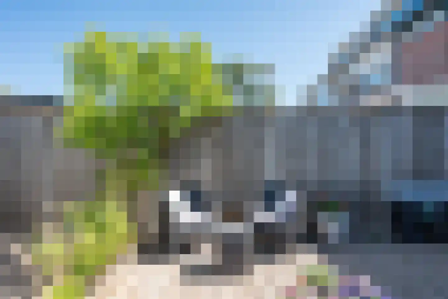 Biesboslaan 46 Eindhoven thumbnail 38