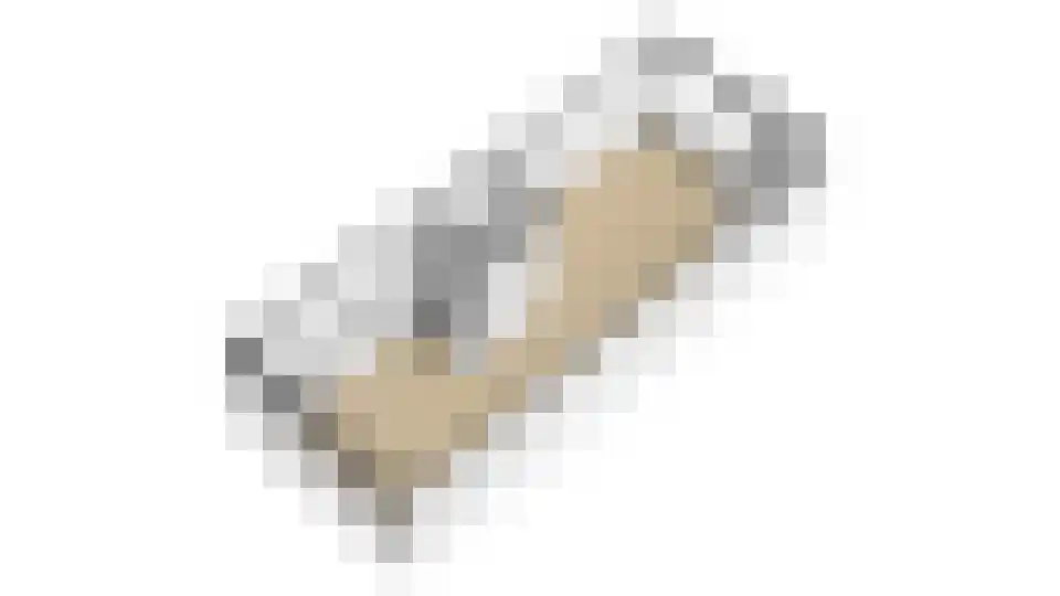 Biesboslaan 46 Eindhoven thumbnail 47