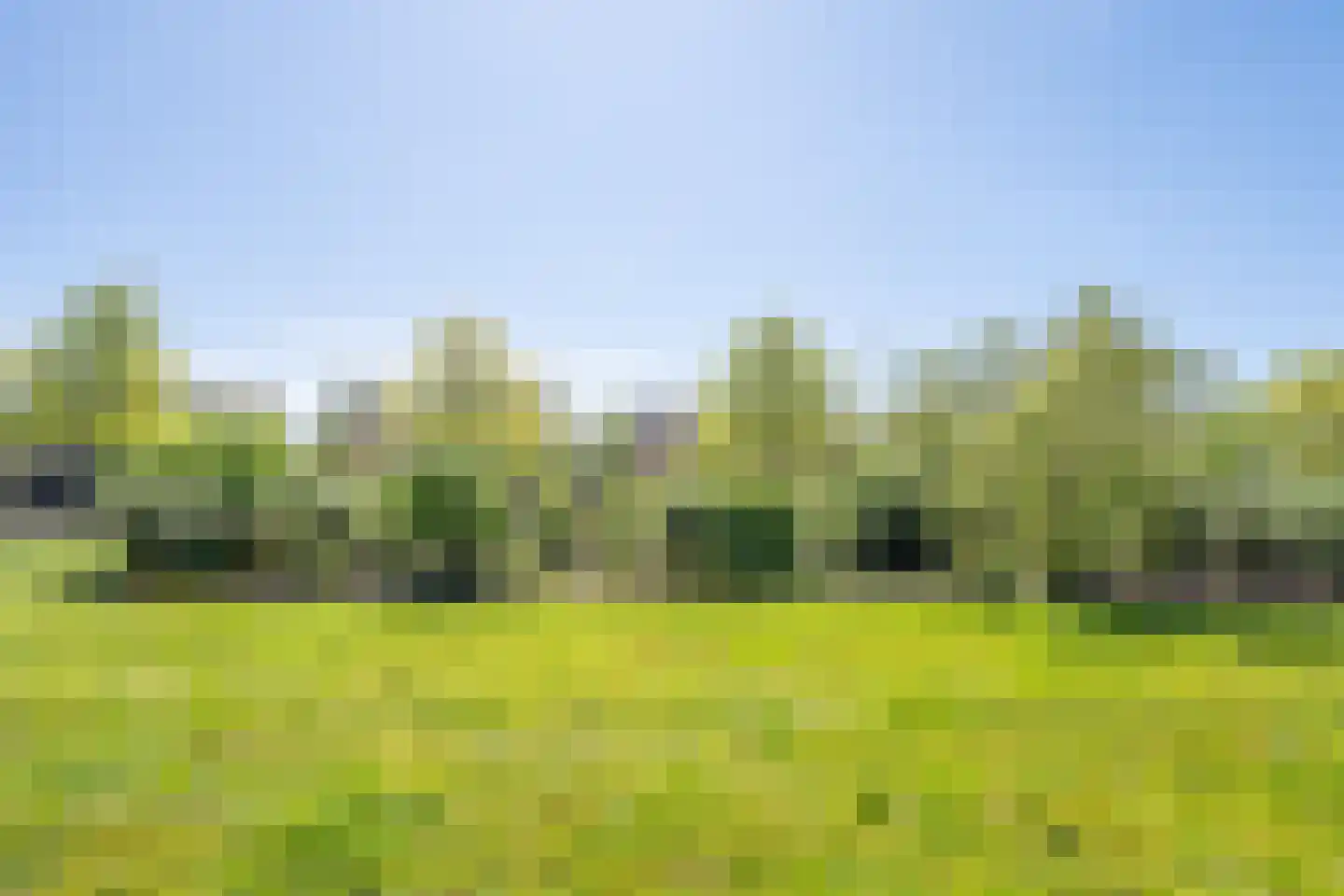 Biesboslaan 46 Eindhoven thumbnail 5