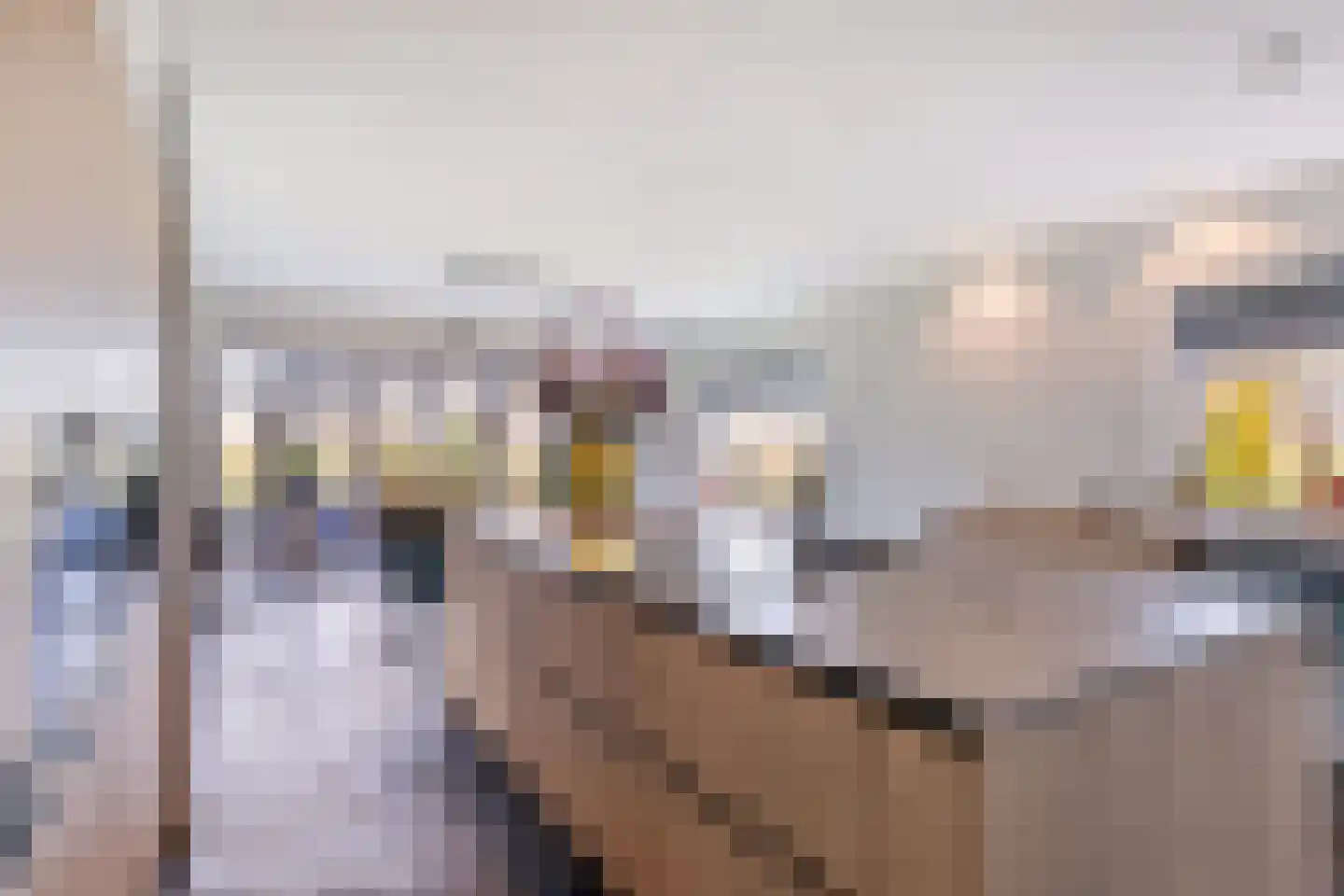 Biesbosserweg 12 Renswoude thumbnail 13