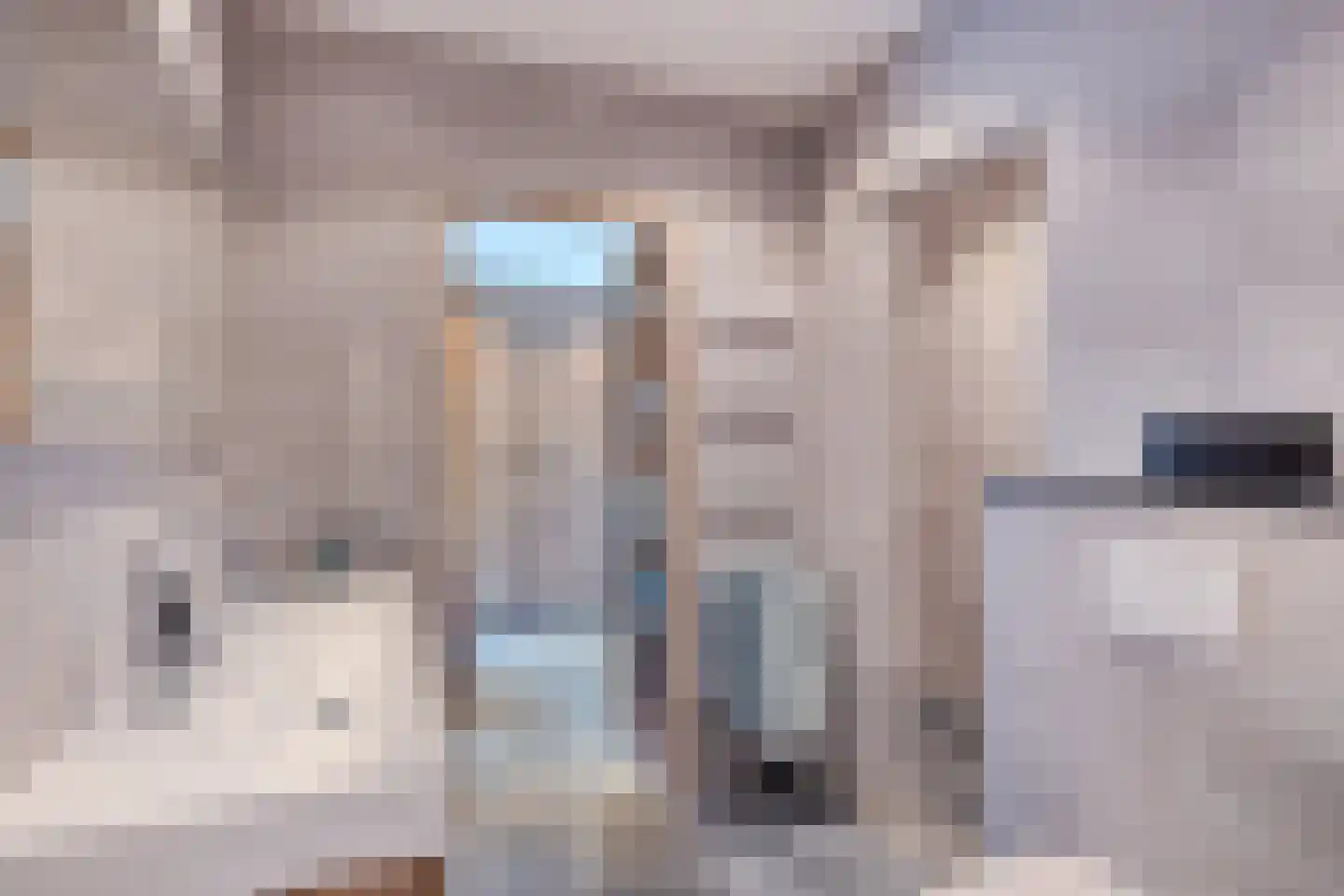 Biesbosserweg 12 Renswoude thumbnail 17