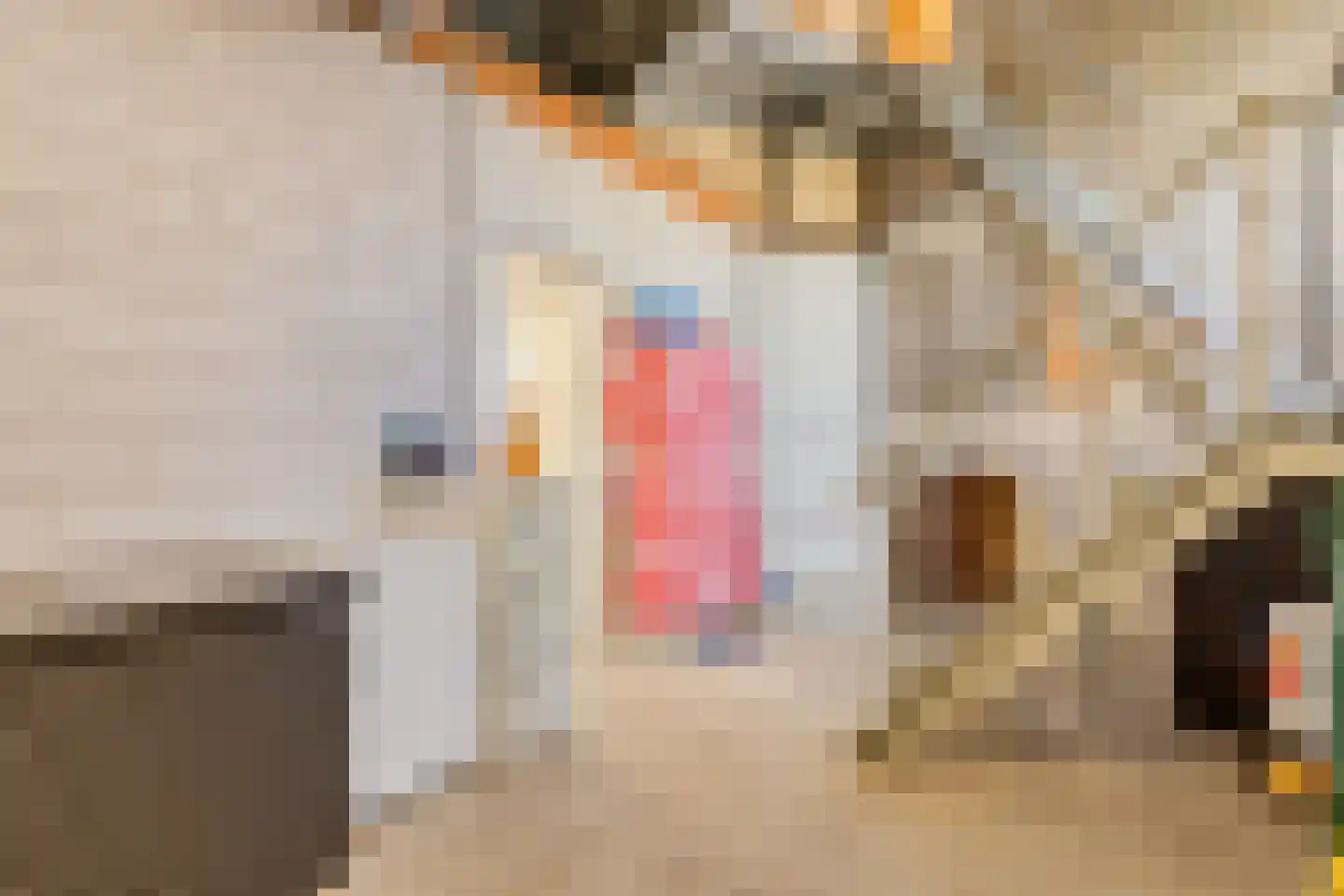 Biesbosserweg 12 Renswoude thumbnail 52