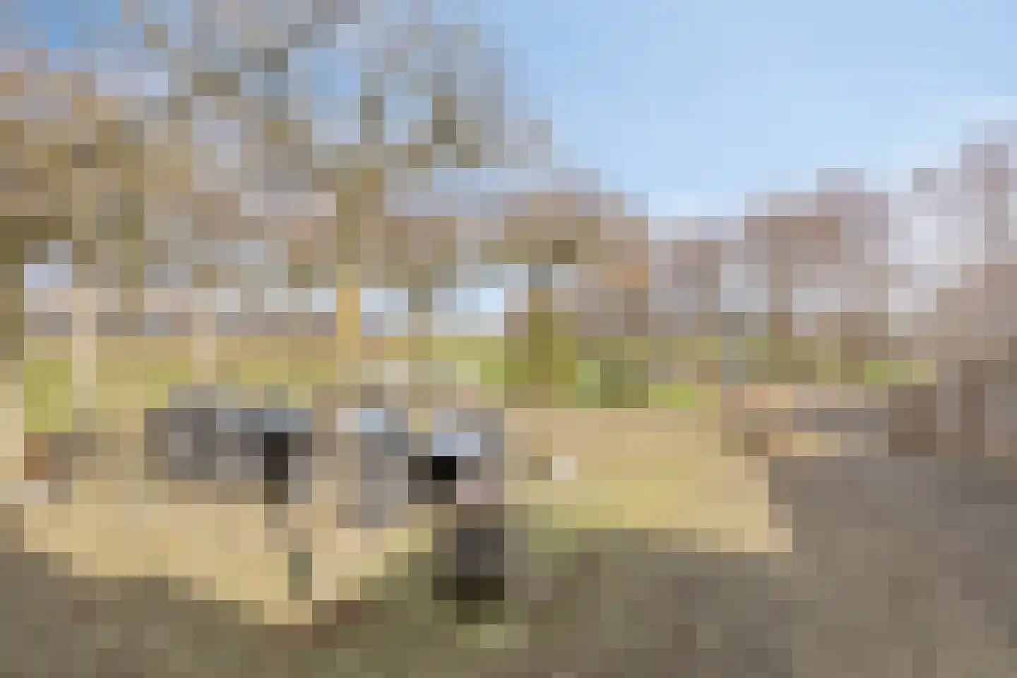 Biesbosserweg 12 Renswoude thumbnail 65