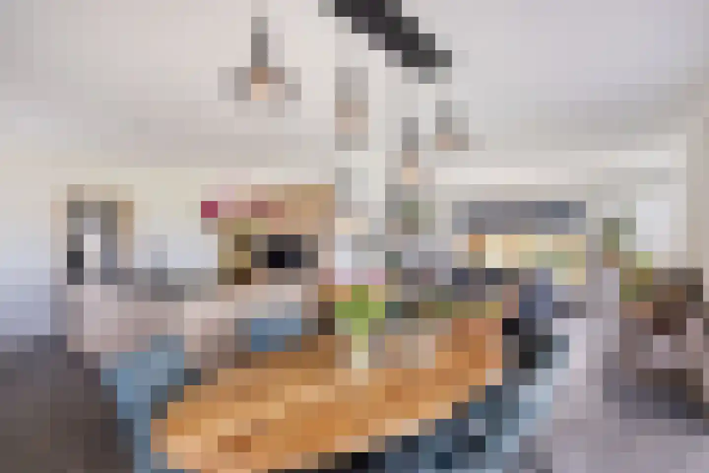 Biesbosserweg 12 Renswoude thumbnail 7