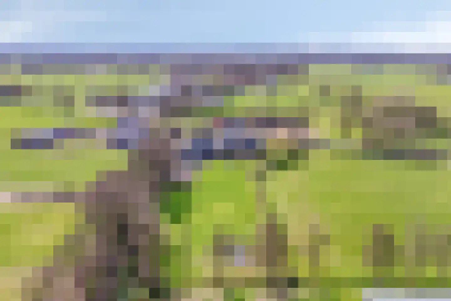 Biesbosserweg 12 Renswoude thumbnail 73
