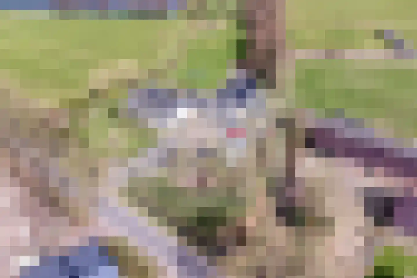 Biesbosserweg 12 Renswoude thumbnail 74