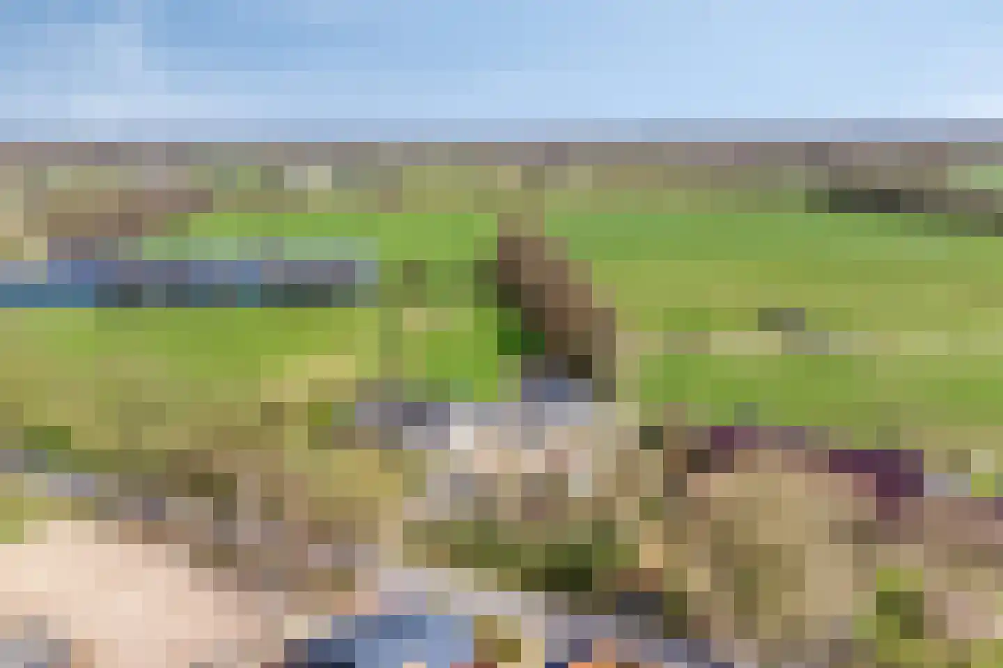 Biesbosserweg 12 Renswoude thumbnail 75
