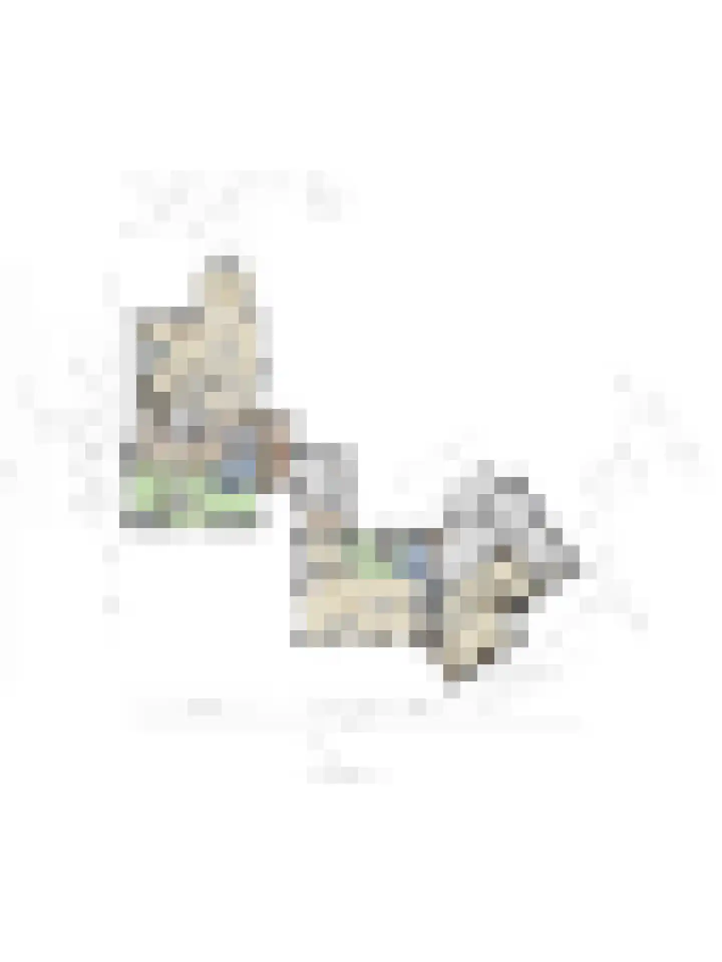 Biesbosserweg 12 Renswoude thumbnail 76