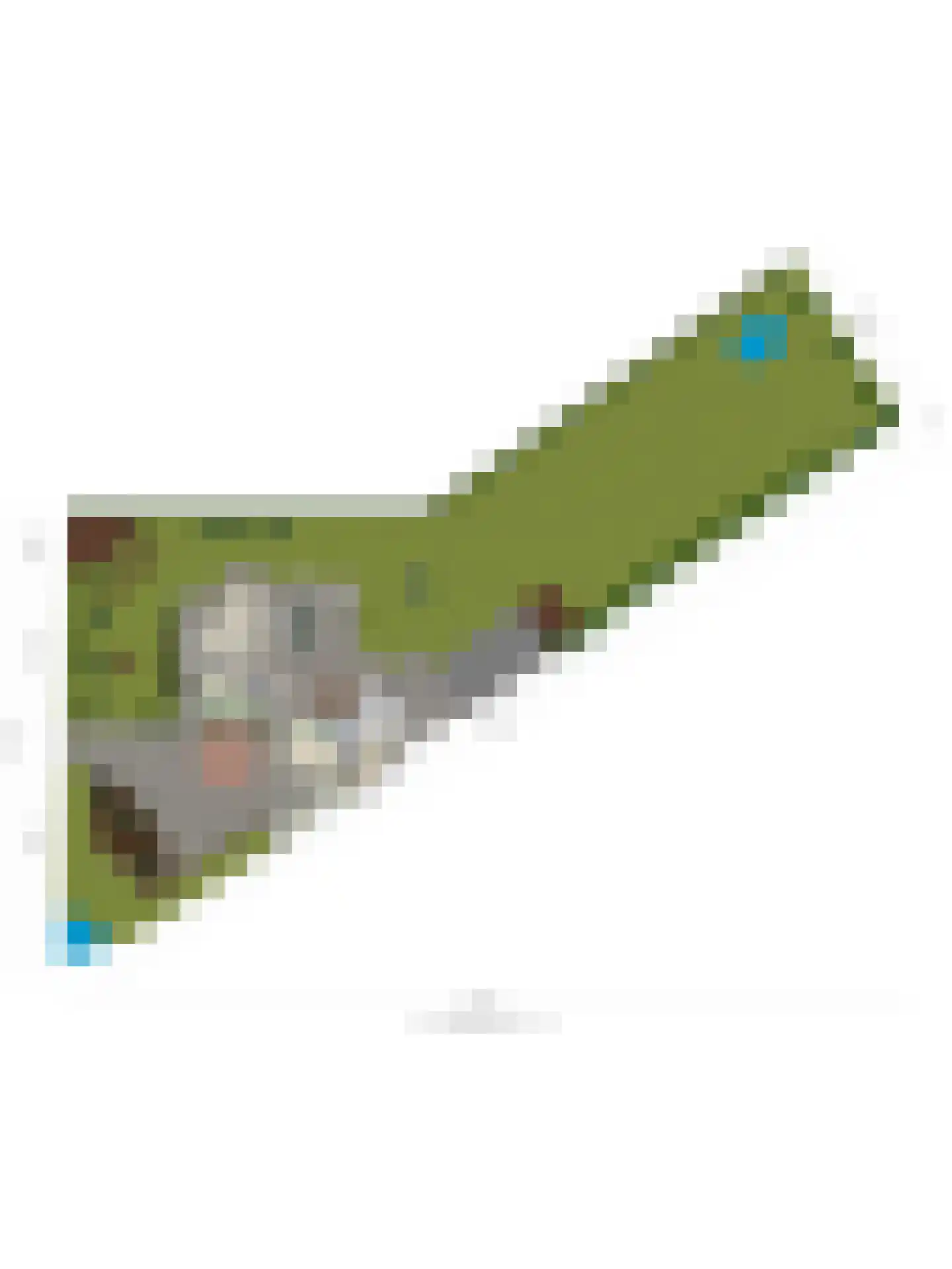 Biesbosserweg 12 Renswoude thumbnail 79