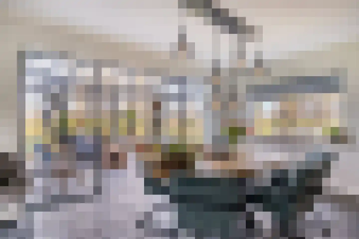 Biesbosserweg 12 Renswoude thumbnail 8