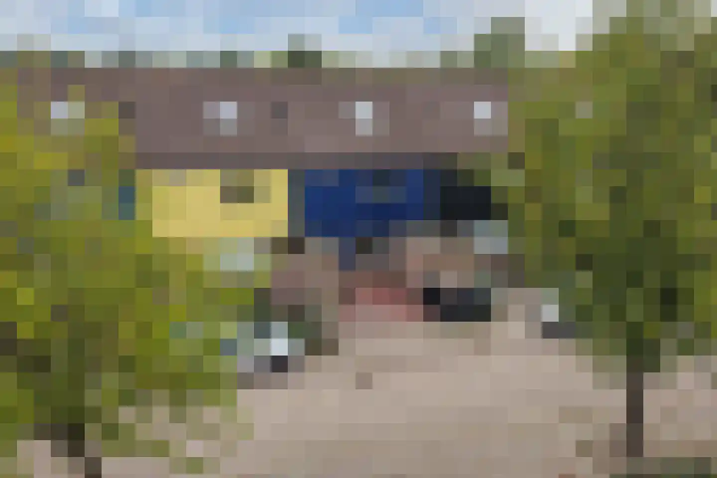 Biesbosstraat 103 Lelystad thumbnail 9