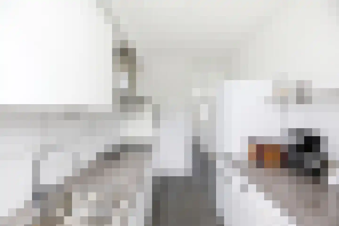 Biesbosstraat 49 Middelburg thumbnail 10