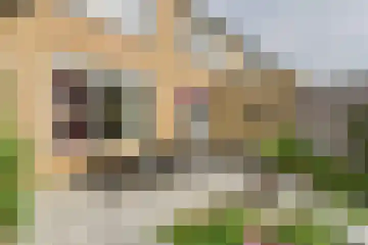 Biesbosstraat 50 Middelburg thumbnail 37