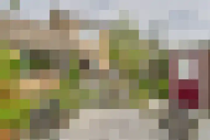 Biesbosstraat 50 Middelburg thumbnail 5