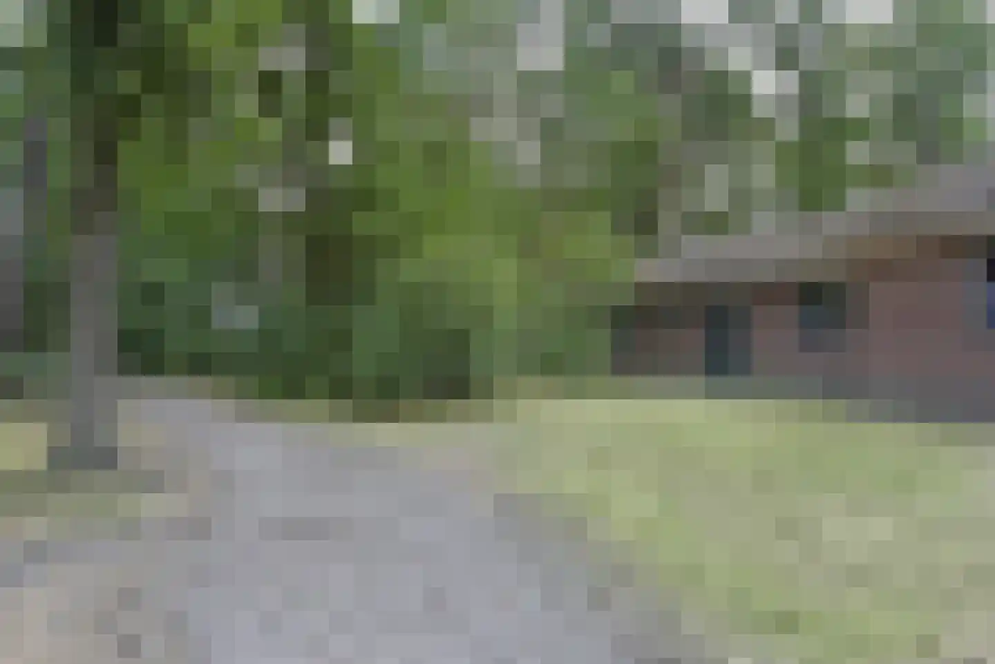 Biesdeel 4 42 Vlierden thumbnail 21