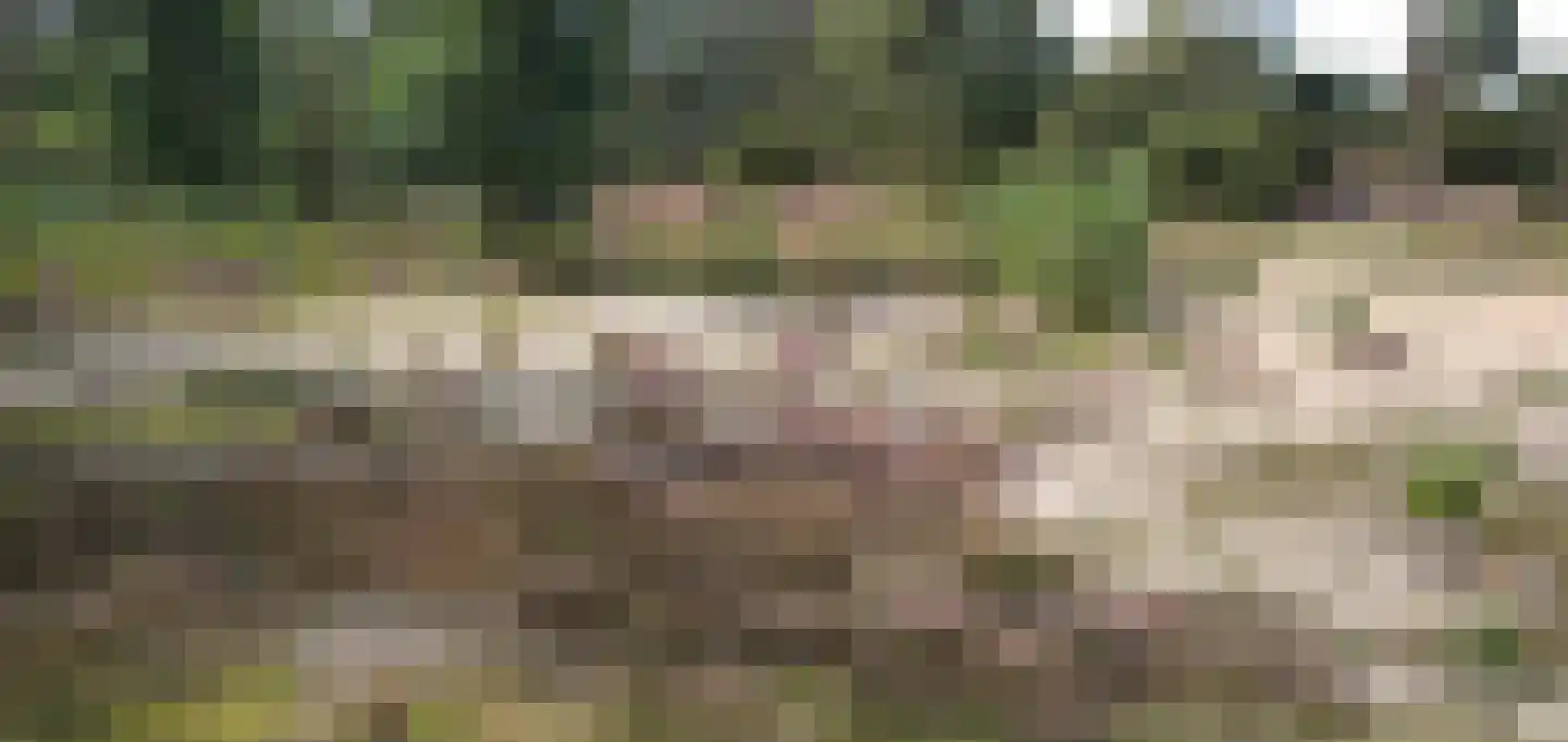Biesdeel 4 42 Vlierden thumbnail 25