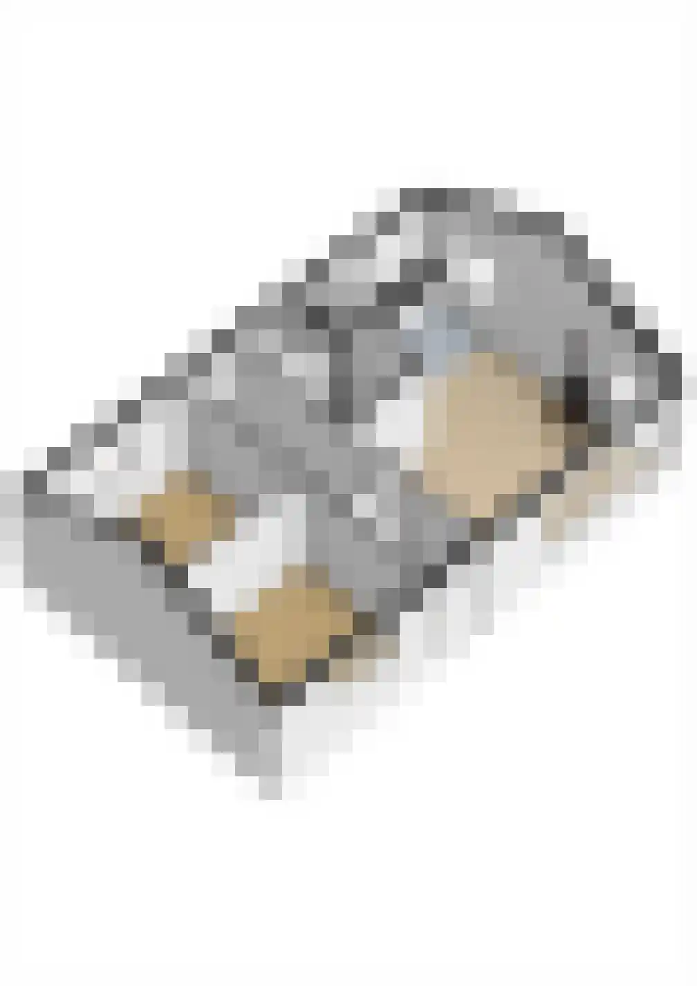 Biesdeel 4 42 Vlierden thumbnail 27