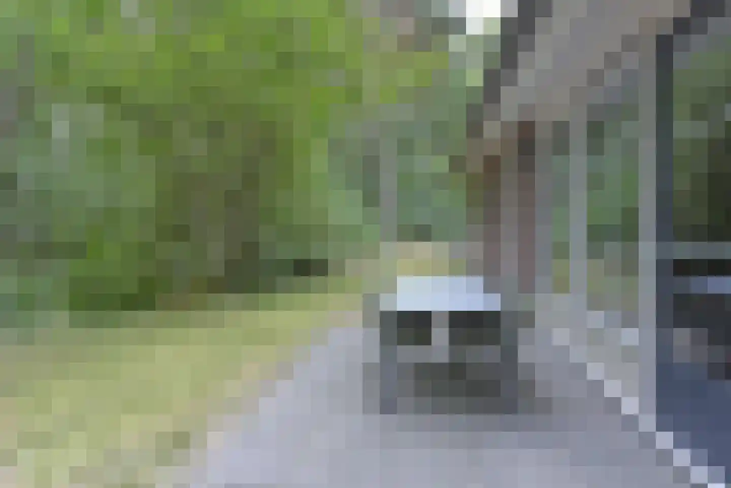Biesdeel 4 42 Vlierden thumbnail 4