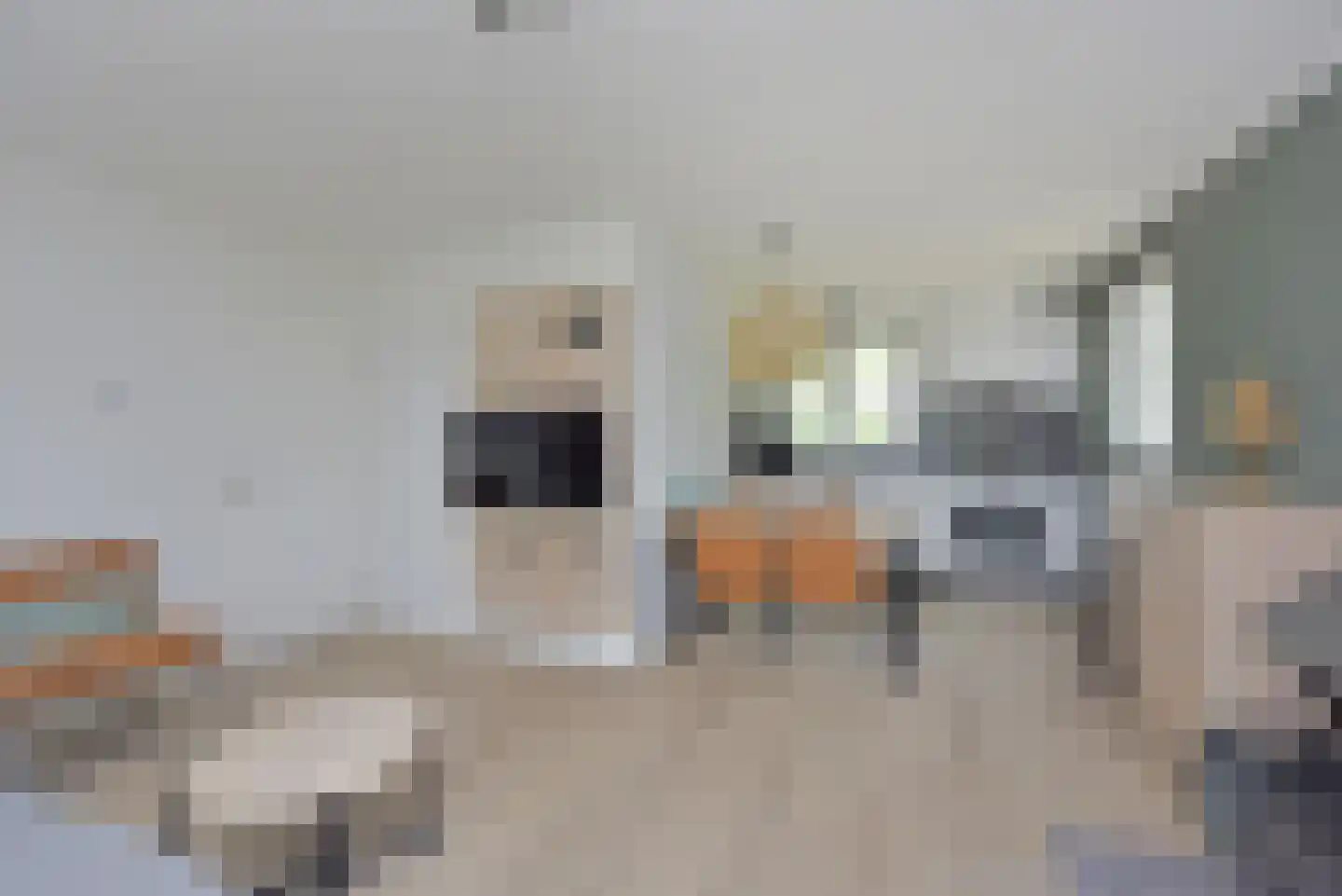 Biesdeel 4 42 Vlierden thumbnail 7