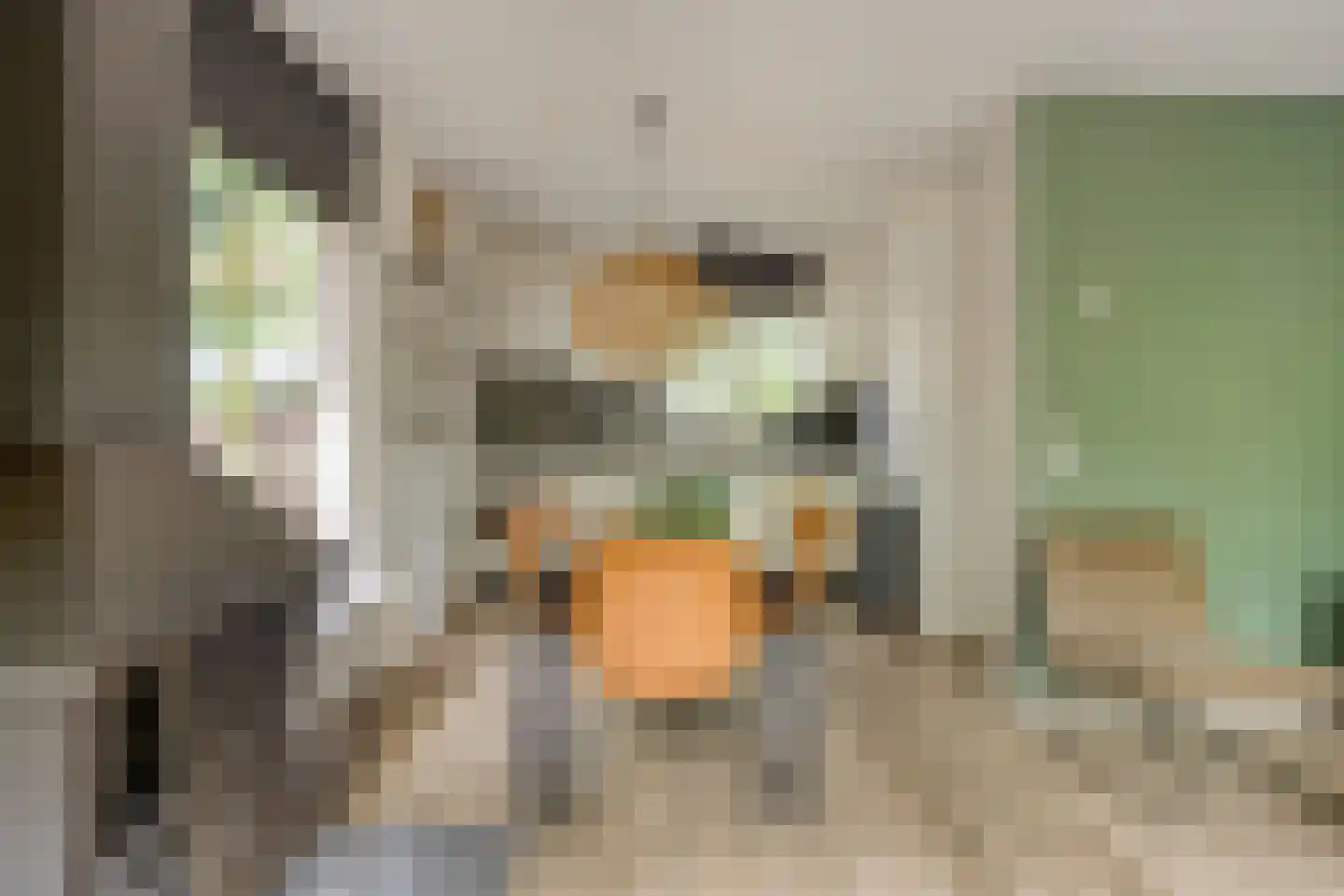 Biesdeel 4 b 34 Vlierden thumbnail 11