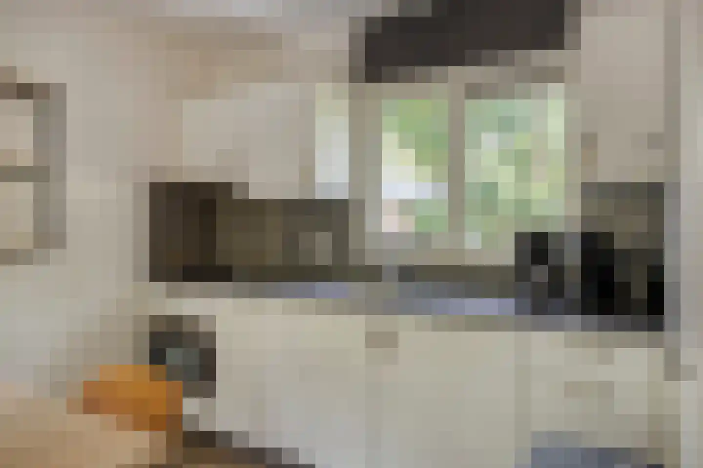 Biesdeel 4 b 34 Vlierden thumbnail 13