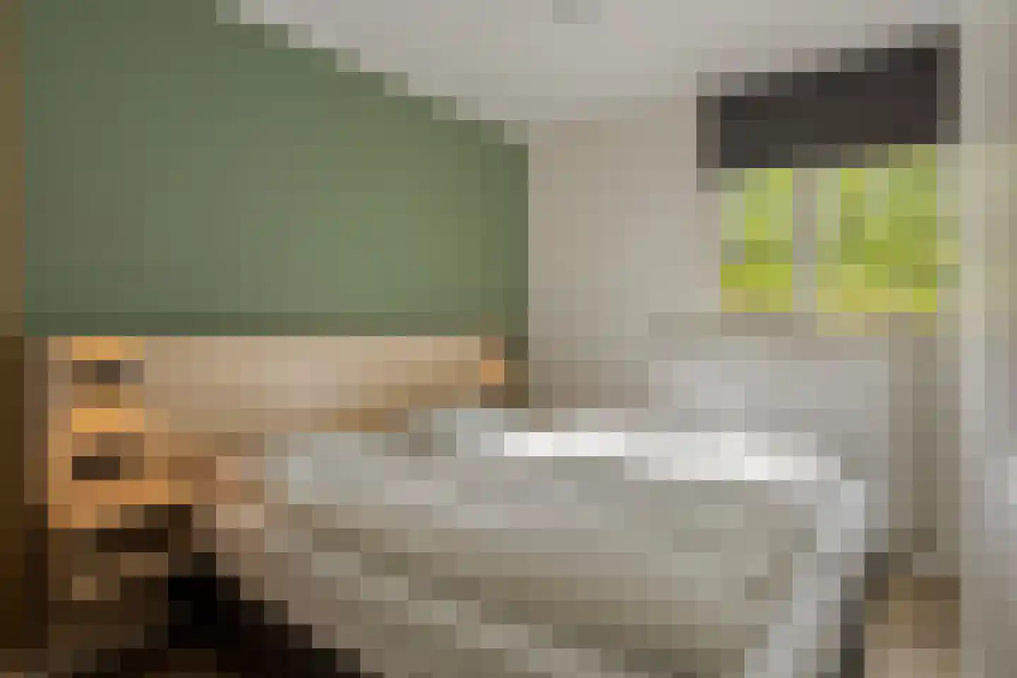 Biesdeel 4 b 34 Vlierden thumbnail 15