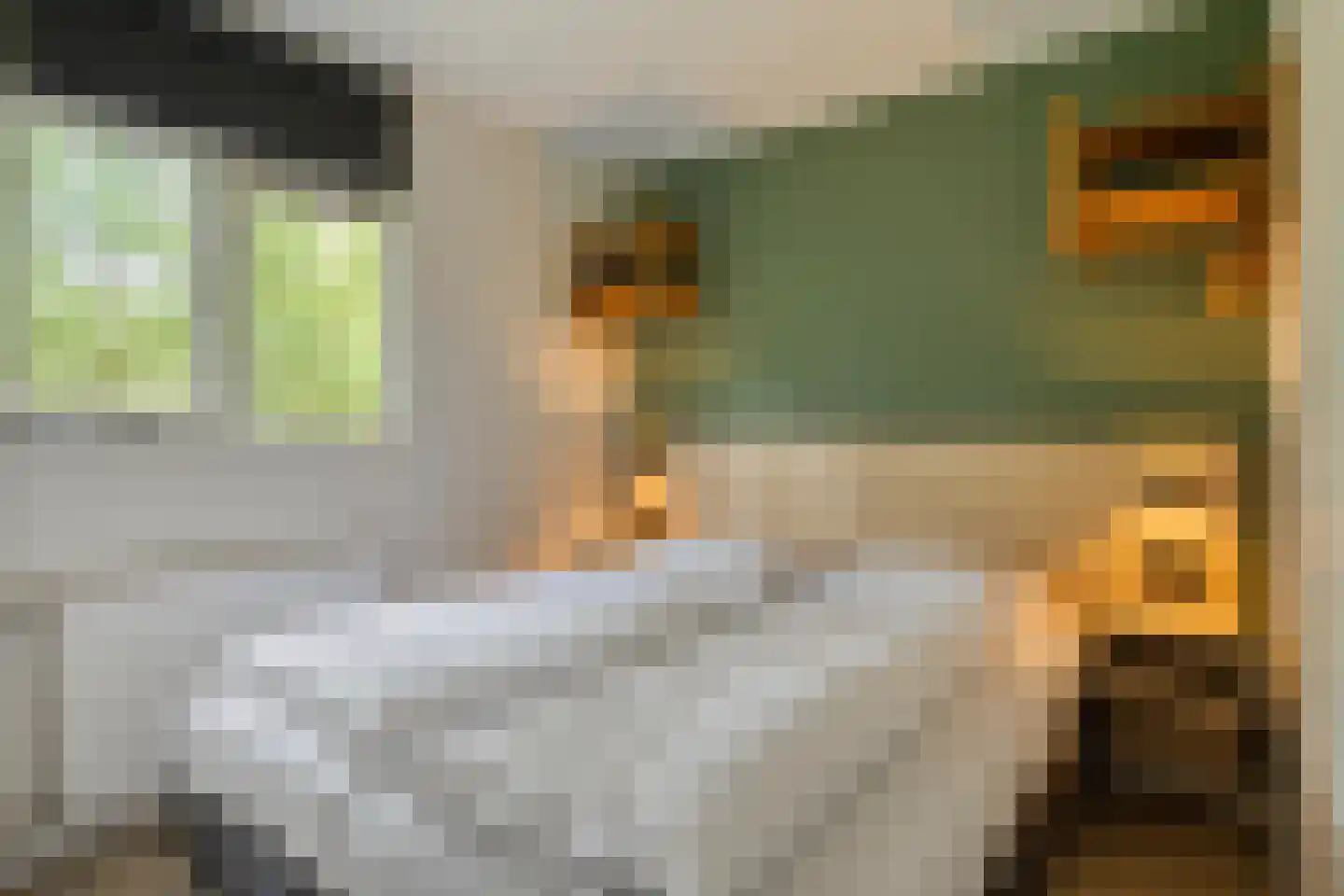 Biesdeel 4 b 34 Vlierden thumbnail 19