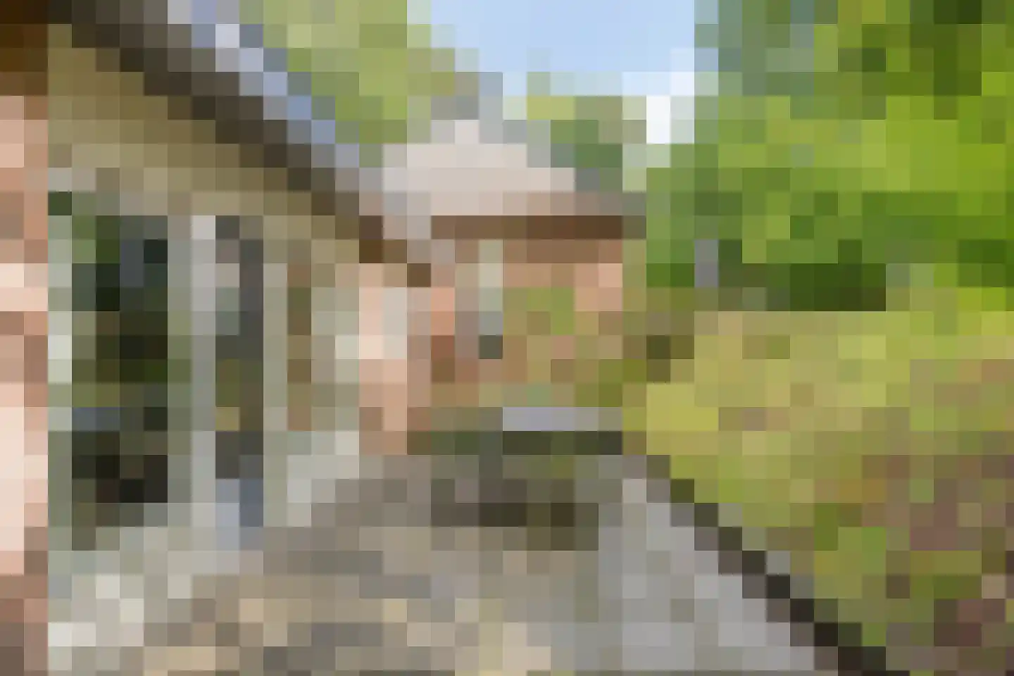 Biesdeel 4 b 34 Vlierden thumbnail 22