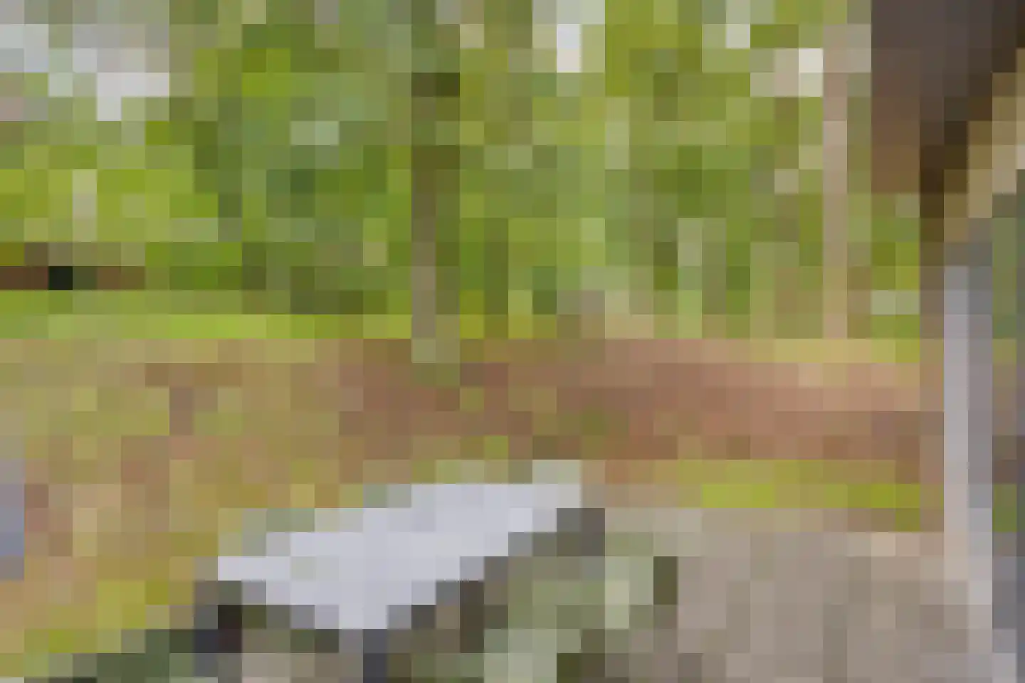 Biesdeel 4 b 34 Vlierden thumbnail 24