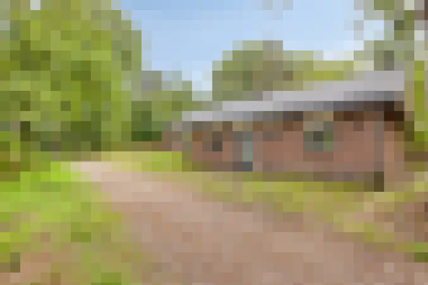 Biesdeel 4 b 34 Vlierden thumbnail 4