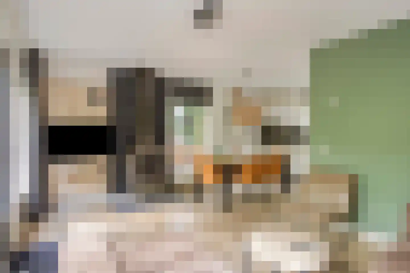 Biesdeel 4 b 34 Vlierden thumbnail 5