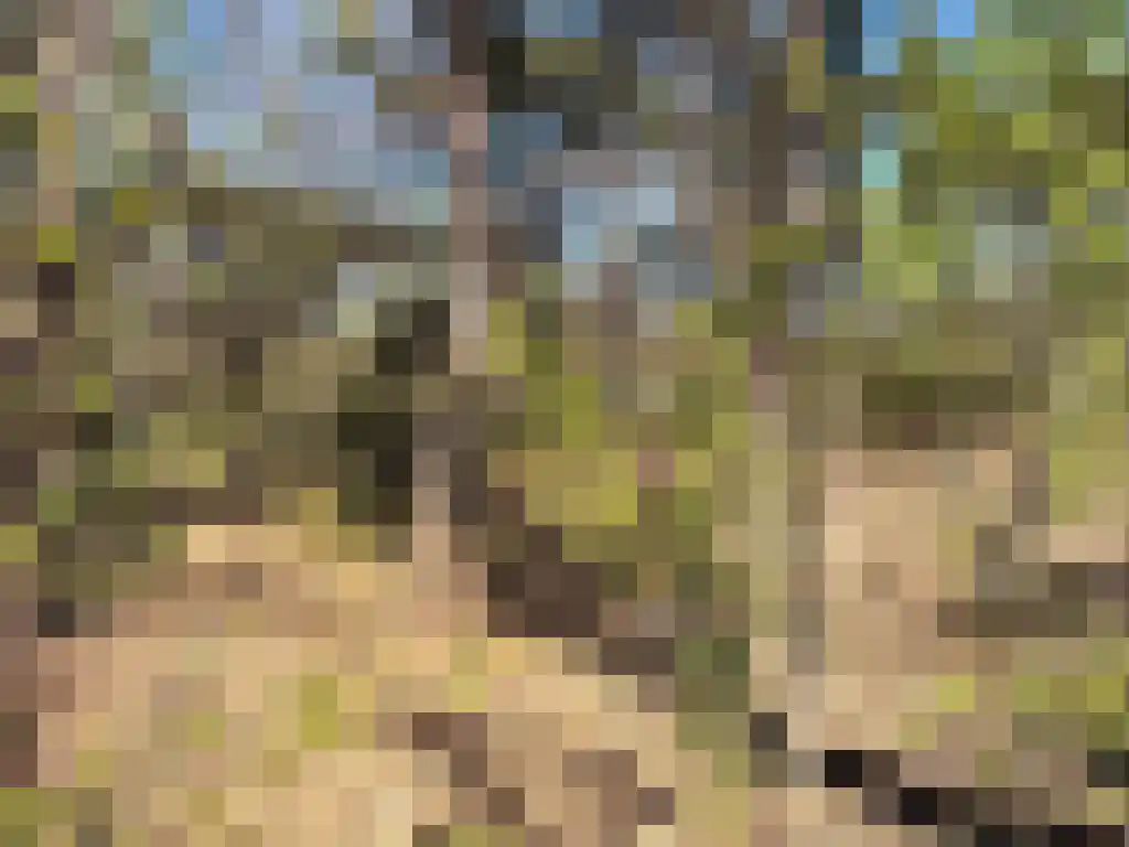 Biesdeel 4 b 60 Vlierden thumbnail 11