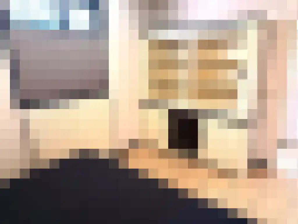 Biesdeel 4 b 60 Vlierden thumbnail 20