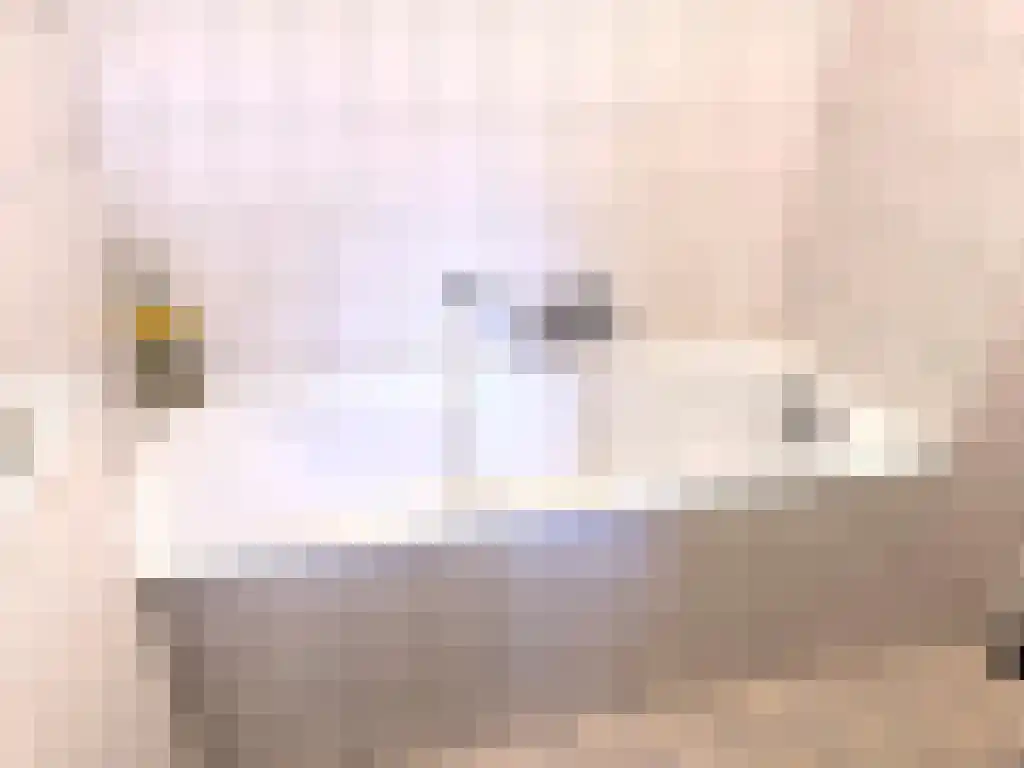 Biesdeel 4 b 60 Vlierden thumbnail 23