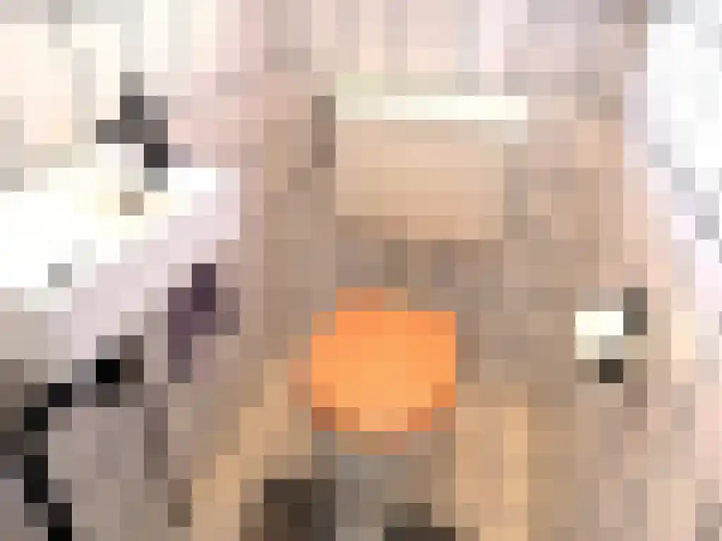 Biesdeel 4 b 60 Vlierden thumbnail 25