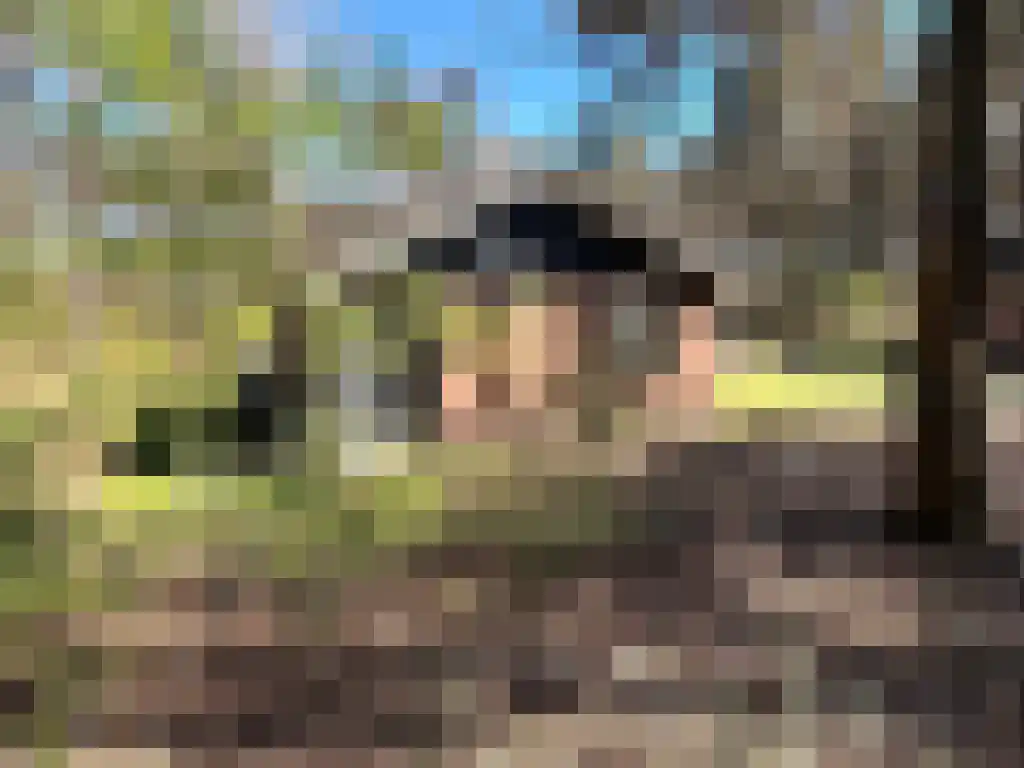 Biesdeel 4 b 60 Vlierden thumbnail 5